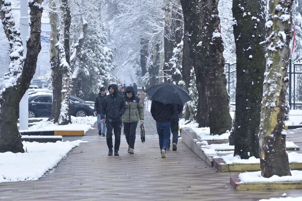 Гражданам при движении по тротуару вдоль зданий необходимо обращать внимание на обледенение тротуаров, подчеркнули также в КЧС. - Sputnik Таджикистан