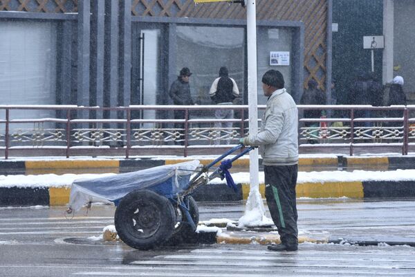 Однако за такой зимней сказкой последует потепление, которое увеличит риск схода снежных лавин. - Sputnik Таджикистан