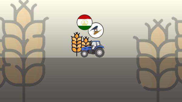 Заглушка к инфографике Сколько произвели сельхозпродукции в ЕАЭС и Таджикистане? - Sputnik Таджикистан