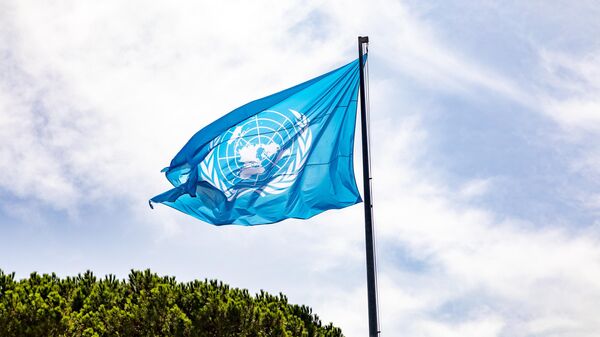Флаг Организации Объединенных Наций - Sputnik Тоҷикистон