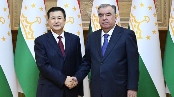 Встреча Эмомали Рахмона и Министра общественной безопасности КНР Ван Сяохуна - Sputnik Таджикистан