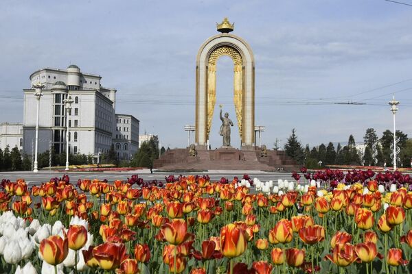 &quot;Праздник тюльпанов&quot; ежегодно проходит на уровне городов, махалли, сел и поселков. - Sputnik Таджикистан