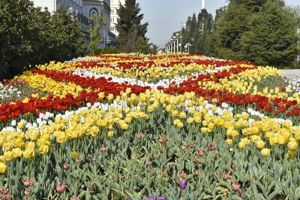Победителей &quot;Праздника тюльпанов&quot; наградят Гран-при, дипломами 1, 2, 3-й степени. - Sputnik Таджикистан