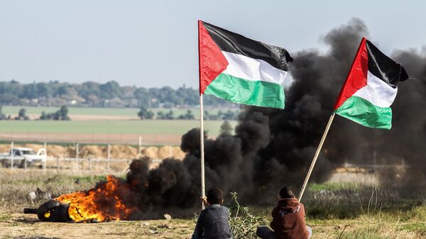 Палестинские демонстранты размахивают национальным флагом у границы между Израилем и Сектором Газа  - Sputnik Тоҷикистон