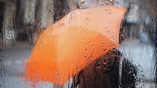Силуэт человека с зонтом за окном с каплями дождя  - Sputnik Тоҷикистон