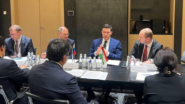 Встреча с Министром промышленности и торговли Российской Федерации  - Sputnik Таджикистан