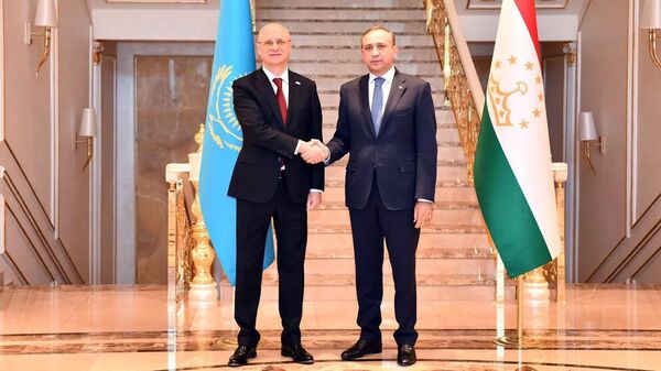 Первые заместители премьер-министров Казахстана и Таджикистана Романа Скляр и Хоким Холикзода - Sputnik Таджикистан