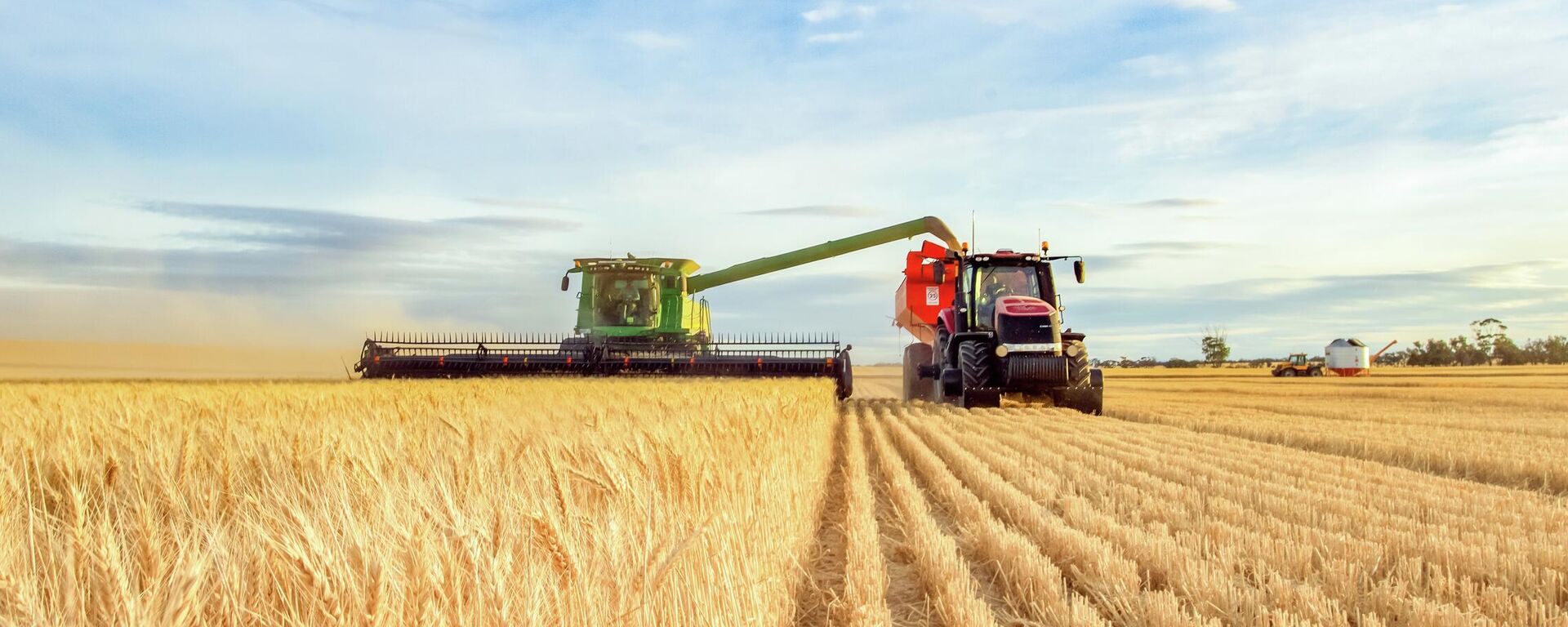 Сбор урожая пшеницы. Иллюстративное фото - Sputnik Таджикистан, 1920, 12.10.2024