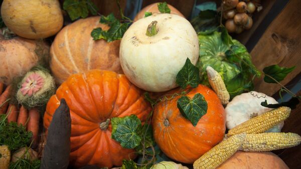 Сельскохозяйственная продукция на аграрной выставке Золотая осень в Томске - Sputnik Таджикистан