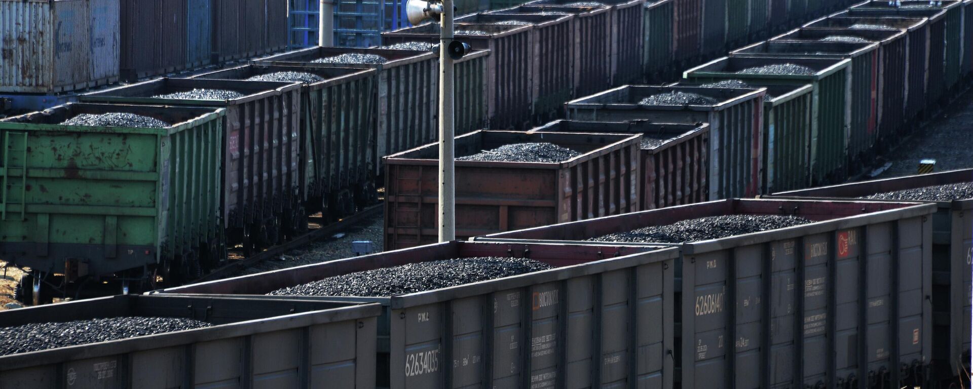 Грузовые вагоны. Иллюстративное фото - Sputnik Таджикистан, 1920, 06.02.2026