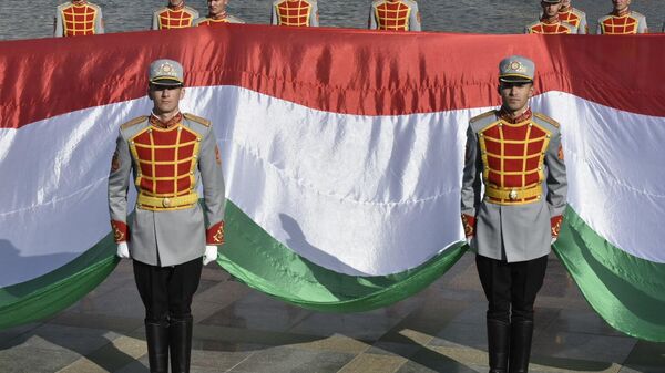 День государственного флага Таджикистана в Душанбе - Sputnik Таджикистан