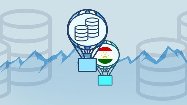 Заглушка к инфографике - На что пойдет бюджет Таджикистана в 2025 году? - Sputnik Тоҷикистон