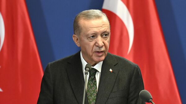 Президент Турции Реджеп Тайип Эрдоган выступает в Будапеште, Венгрия - Sputnik Таджикистан