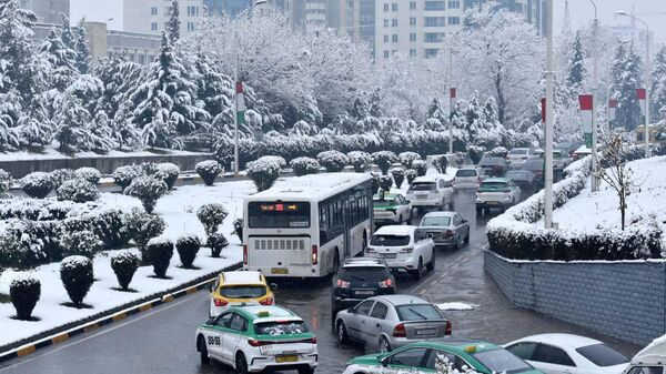 Зима в Душанбе - Sputnik Таджикистан