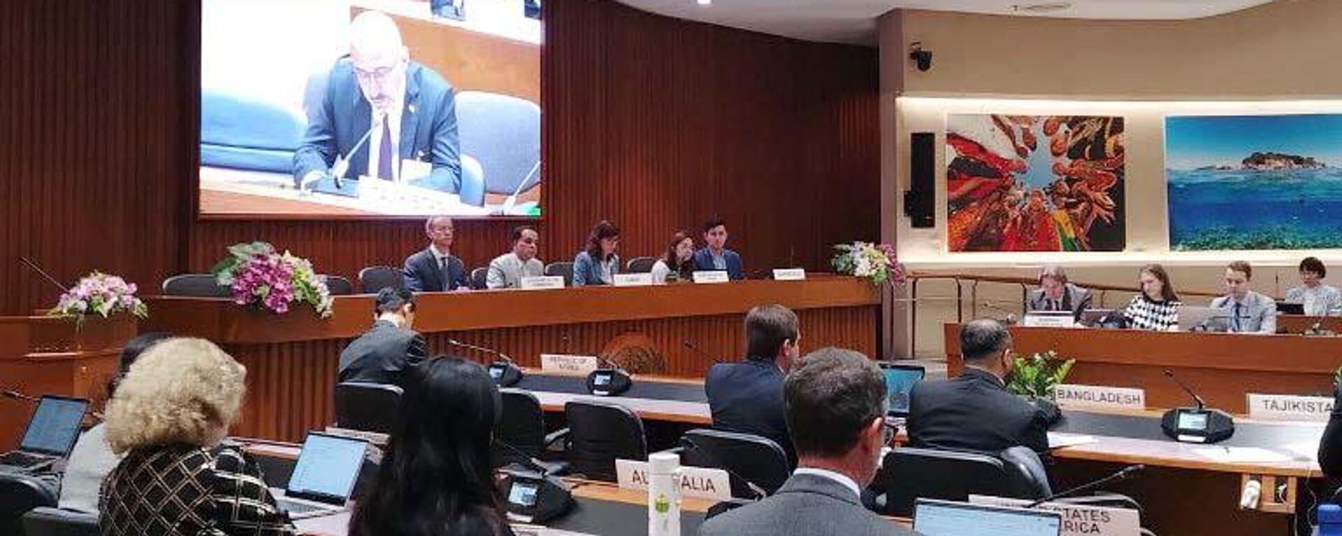 Первое заседание неофициальной рабочей группы по рассмотрению проектов резолюций при Экономической и социальной комиссии для Азии и Тихого океана (ЭСКАТО) ООН в Бангкоке  - Sputnik Таджикистан, 1920, 21.02.2025