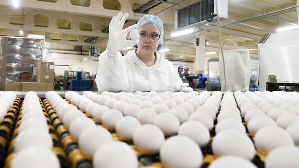 Работа птицефабрики  - Sputnik Тоҷикистон
