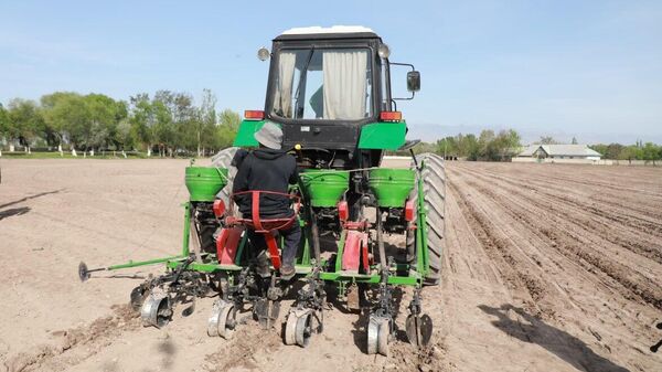 Сев хлопчатника в семеноводческом хозяйстве им. Ф. Саидова - Sputnik Таджикистан