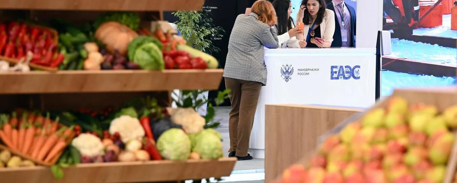 Один из самых масштабных проектов стран ЕАЭС находится на завершающей стадии - Sputnik Таджикистан, 1920, 08.04.2025