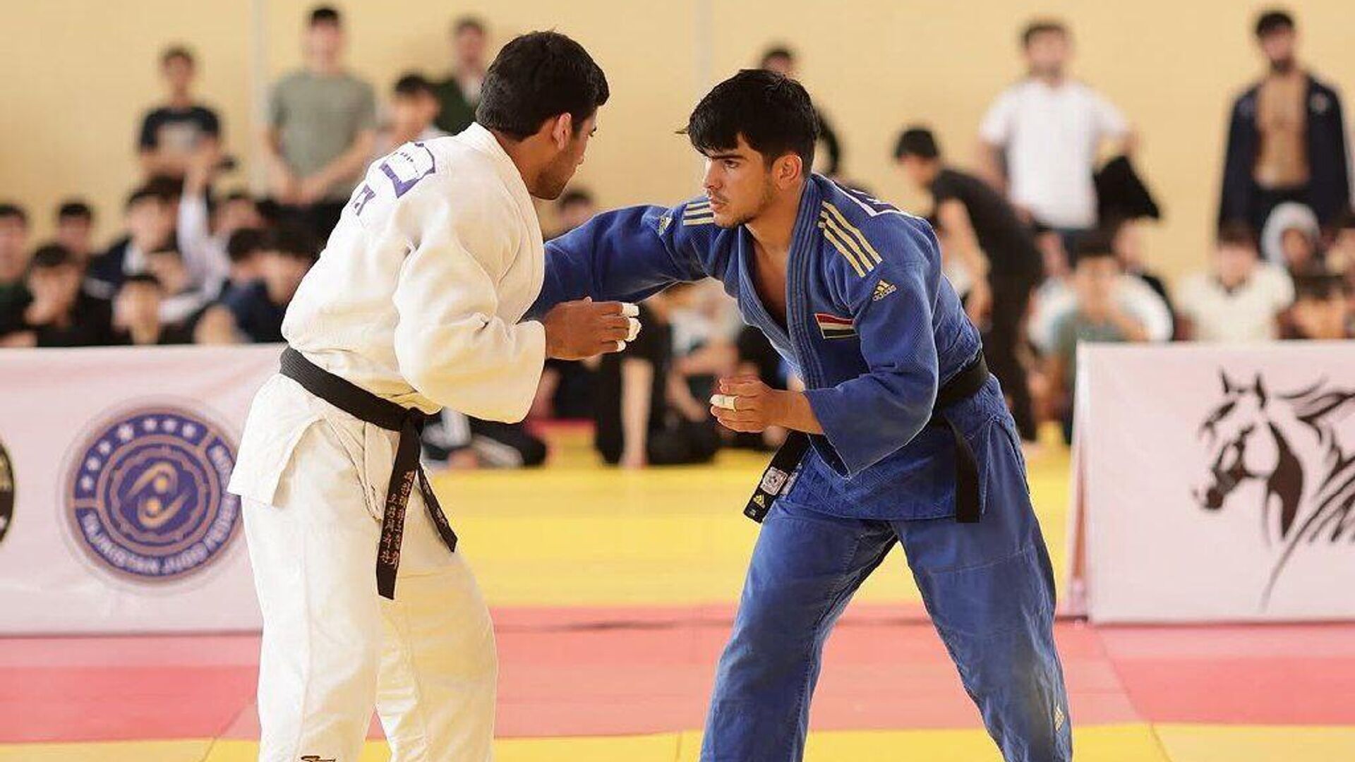 Соревнования по отбору дзюдоистов для турнира Dushanbe Grand Slam 2025 Соревнования по отбору дзюдоистов для турнира Dushanbe Grand Slam 2025 - Sputnik Таджикистан, 1920, 09.04.2025