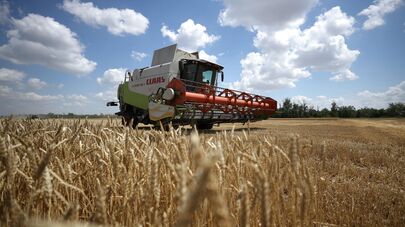 Уборка озимых культур в Краснодарском крае