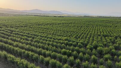 Фермерское хозяйство в Дангаринском районе