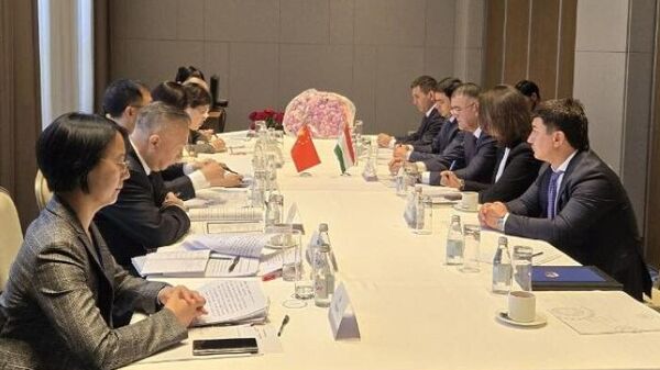 Двусторонние переговоры между делегацией Таможенной службы при Правительстве Республики Таджикистан и представителями Главного таможенного управления Китайской Народной Республики - Sputnik Тоҷикистон