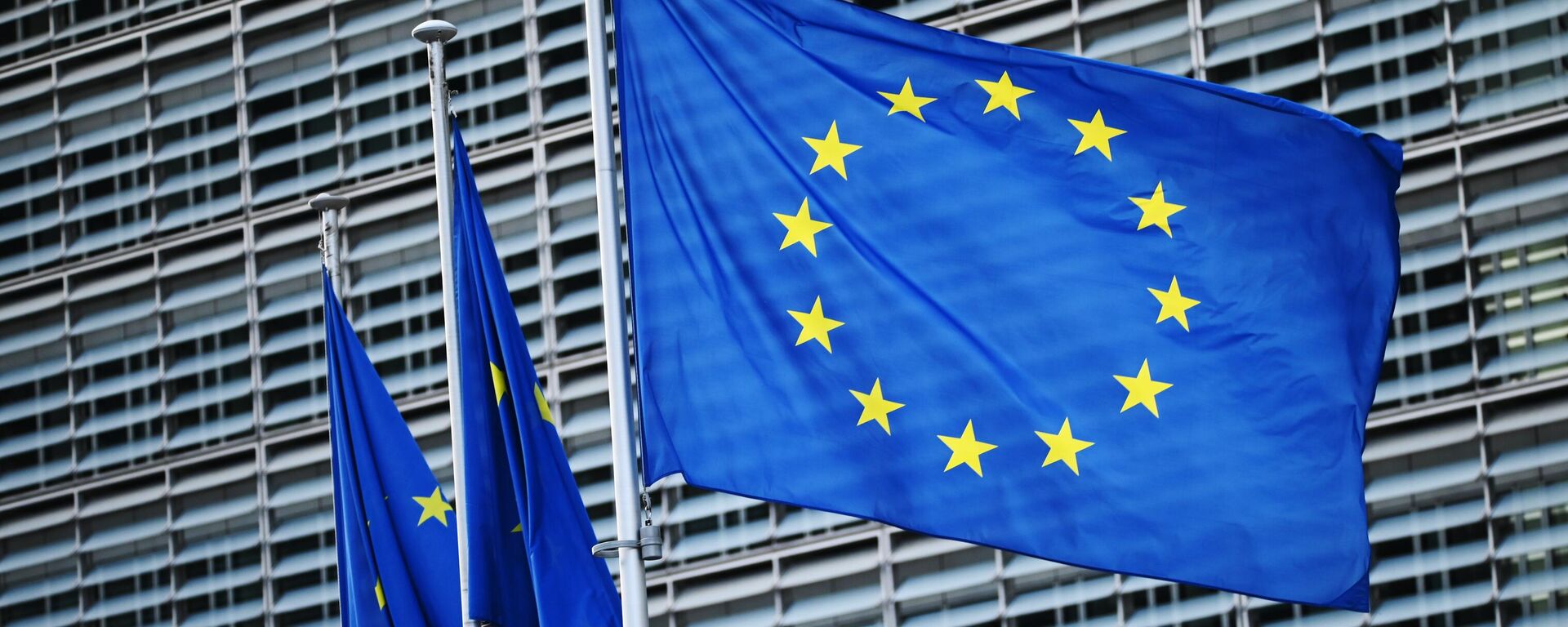Флаги с символикой Евросоюза  - Sputnik Таджикистан, 1920, 27.11.2025