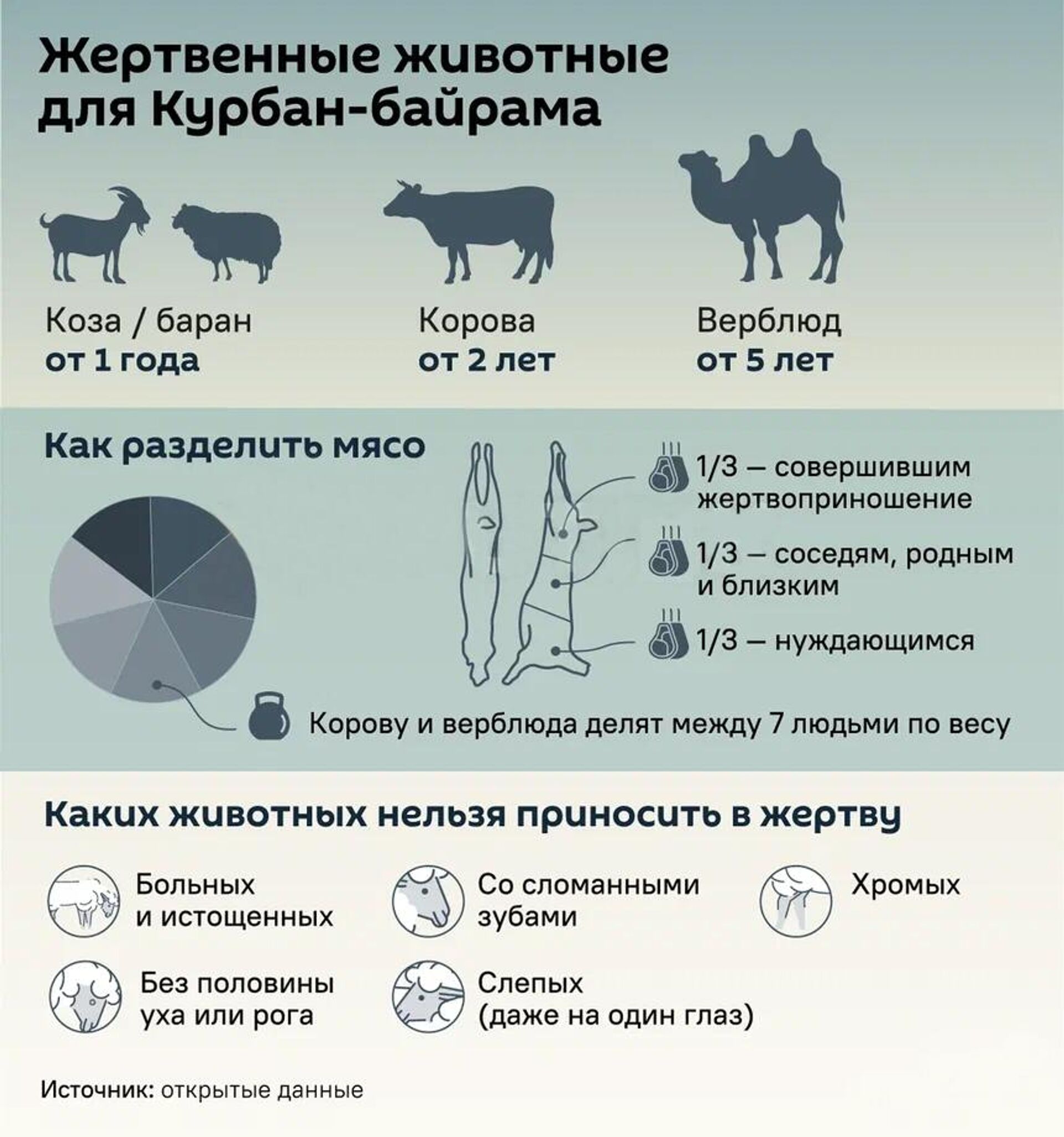 Жертвенные животные для Курбан-байрама - Sputnik Таджикистан, 1920, 05.06.2025