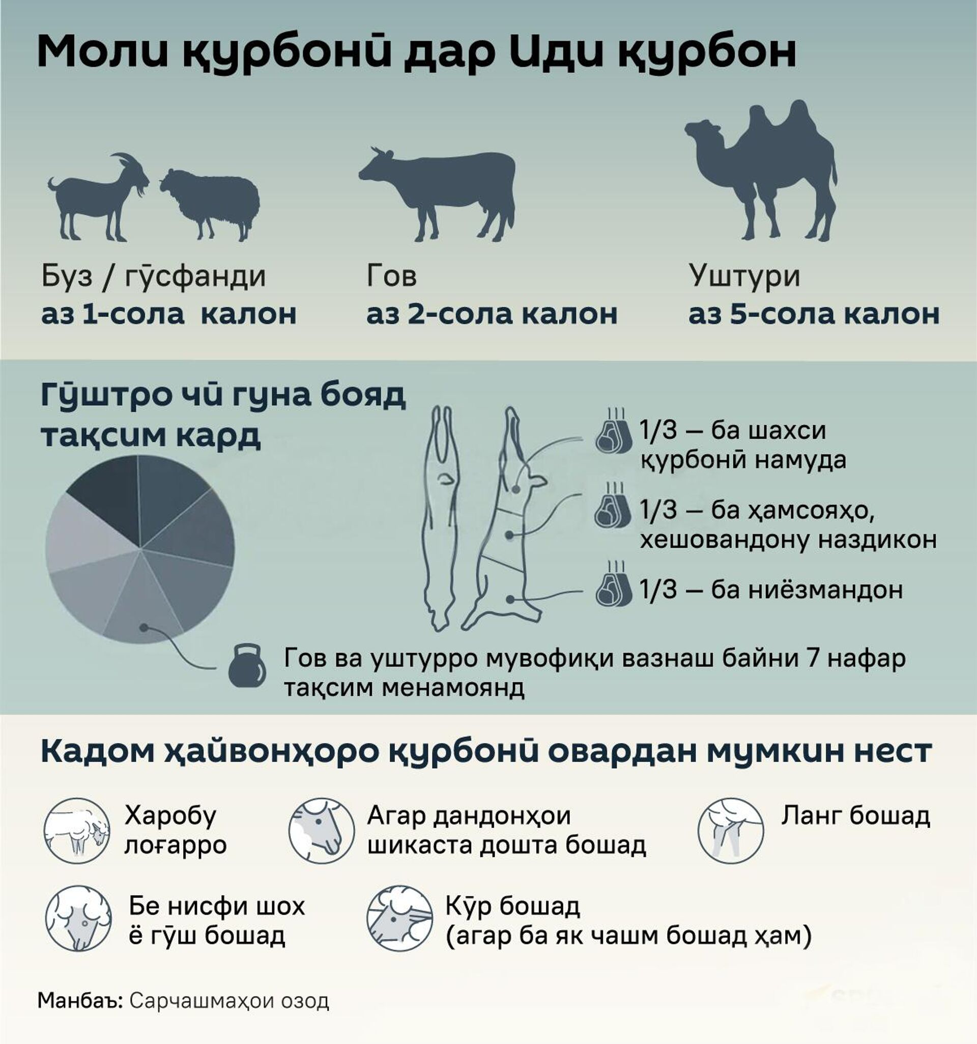 Моли қурбонӣ дар Иди қурбон - Sputnik Тоҷикистон, 1920, 05.06.2025