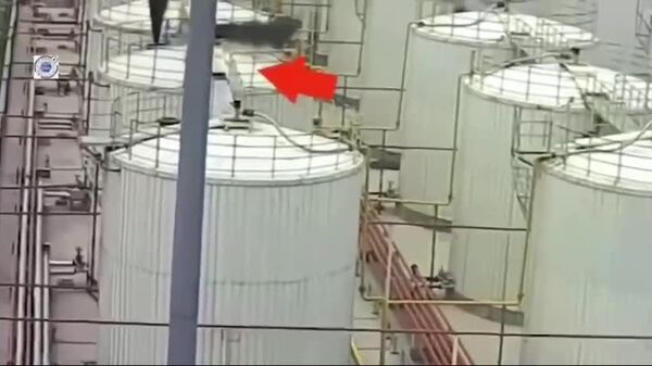 Взрыв произошел на заводе Shandong Youdao Chemica - это крупнейший мировой производитель пестицида хлорпирифоса - Sputnik Таджикистан