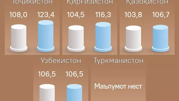 Тоҷикистон миёни кишварҳои Осиёи Марказӣ дар тавлидоти саноатӣ беҳтарин нишондиҳанда доштааст - Sputnik Тоҷикистон