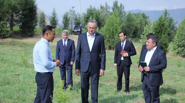 Давлаталӣ Саид бо рафти корҳои барқарорсозӣ дар боғи анор шинос шуд - Sputnik Тоҷикистон