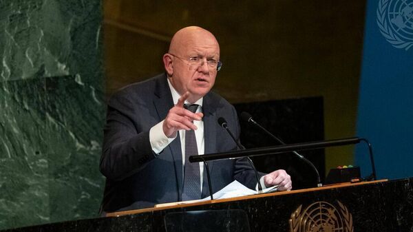 Постоянный представитель РФ при ООН Василий Небензя на заседании Совета Безопасности ООН в штаб-квартире ООН в Нью-Йорке. - Sputnik Таджикистан