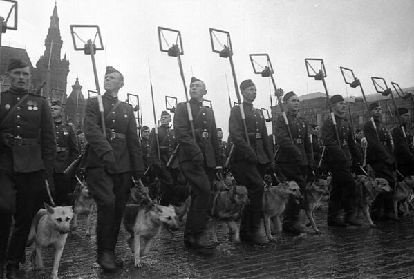 Парад Победы на Красной площади 24 июня 1945 г. Парад Победы на Красной площади 24 июня 1945 г. - Sputnik Таджикистан