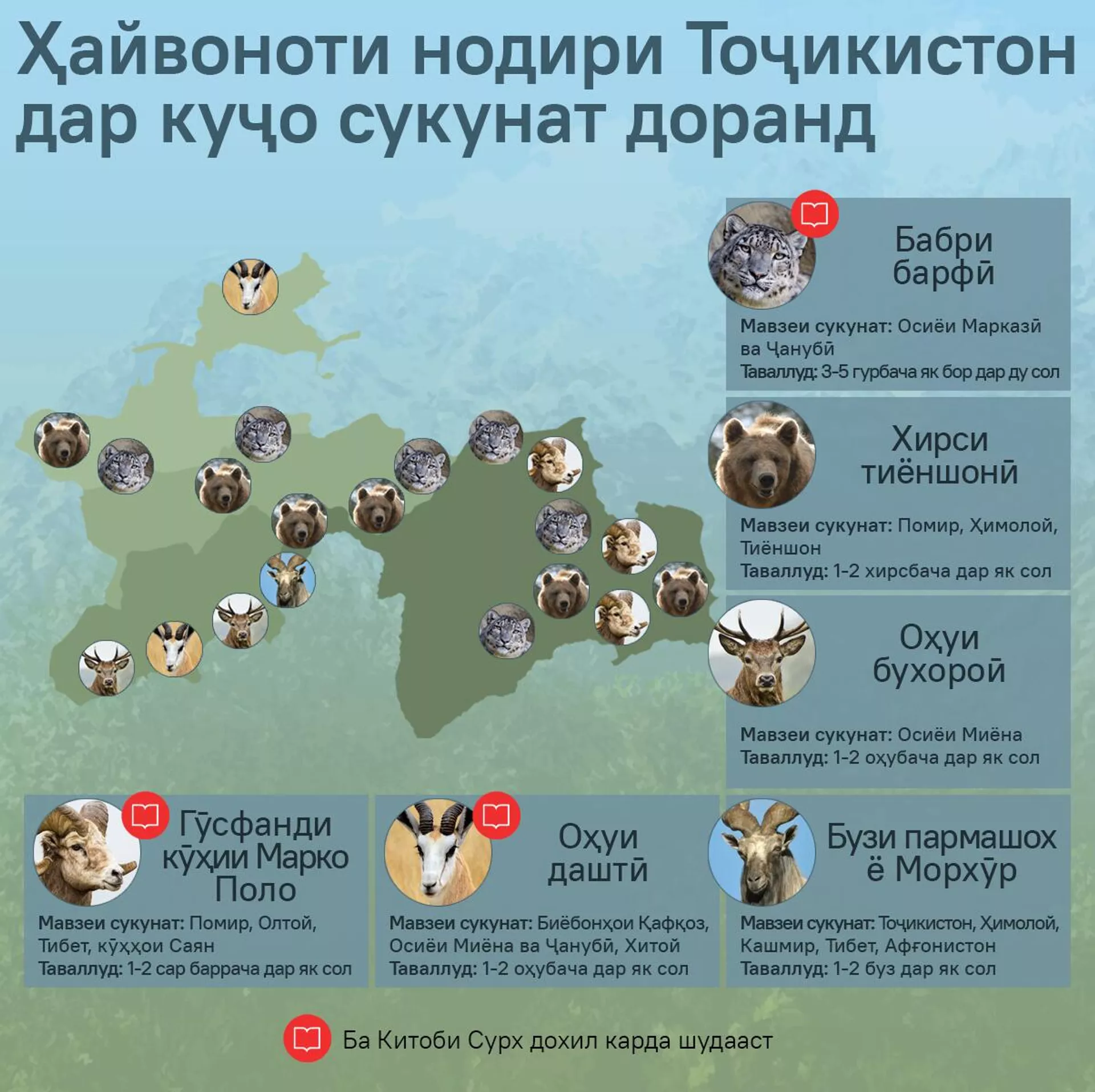 Ҳайвоноти нодири Тоҷикистон дар куҷо сукунат доранд - Sputnik Тоҷикистон, 1920, 28.06.2025