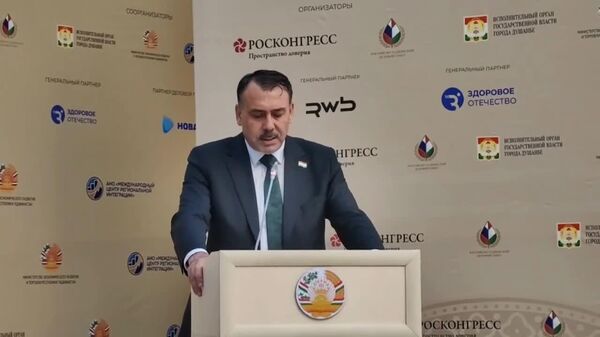 Русский язык - платформа согласования смыслов между локальным и глобальным, заявил замминистра культуры Таджикистана Манучехр Шарифзода на ЦМЭФ - Sputnik Таджикистан