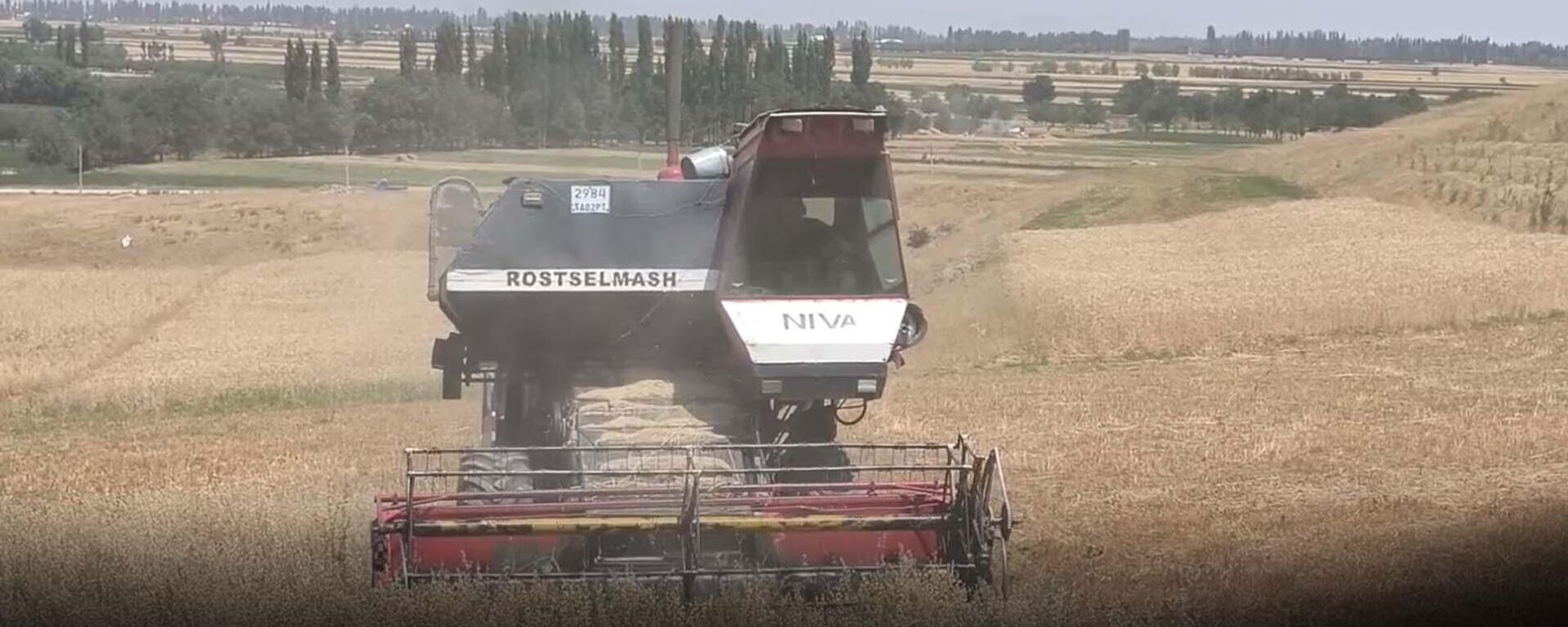 Под палящим солнцем: как собирают пшеницу в Таджикистане?  - Sputnik Таджикистан, 1920, 26.07.2025