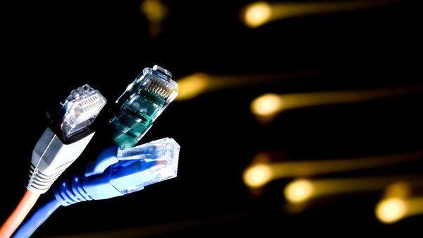 Сетевой кабель с разъемом. Иллюстративное фото - Sputnik Таджикистан