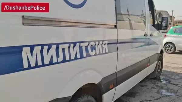 Аз гуфтор ба амал: як гурӯҳи дигари қонуншиканоне, ки дар Душанбе ҳабси маъмурӣ гирифтанд, ба корҳои ҷамъиятӣ фиристода шуданд - Sputnik Тоҷикистон