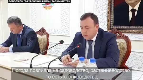 Погода оказывает сильное влияние на урожай Согда - Sputnik Таджикистан