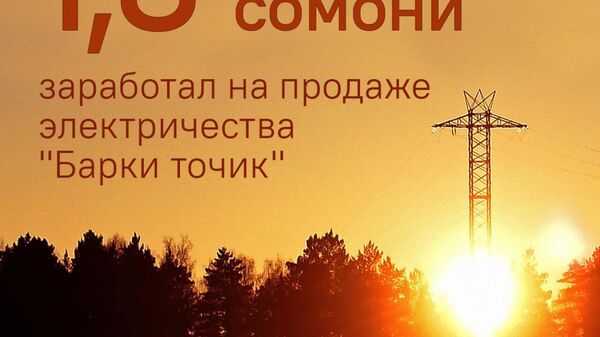 Барки точик реализовала в Таджикистане 10,6 млрд кВт·ч электроэнергии на 1,8 млрд сомони, согласно данным компании - Sputnik Таджикистан