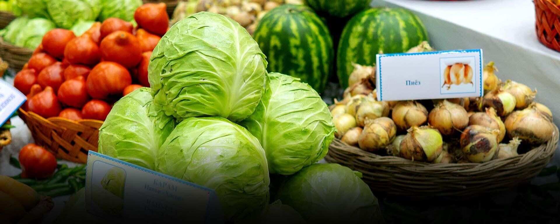 Как изменился экспорт и импорт между Таджикистаном и Кыргызстаном?  - Sputnik Таджикистан, 1920, 08.08.2025