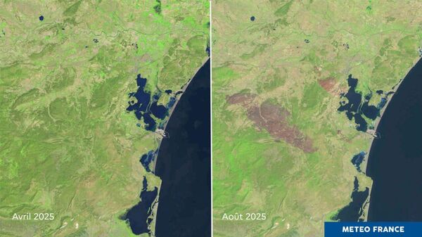 Во Франции уже неделю бушует один из сильнейших пожаров за последние десятилетия: 1 человек погиб, 21 пострадали, в том числе спасатели - Sputnik Таджикистан