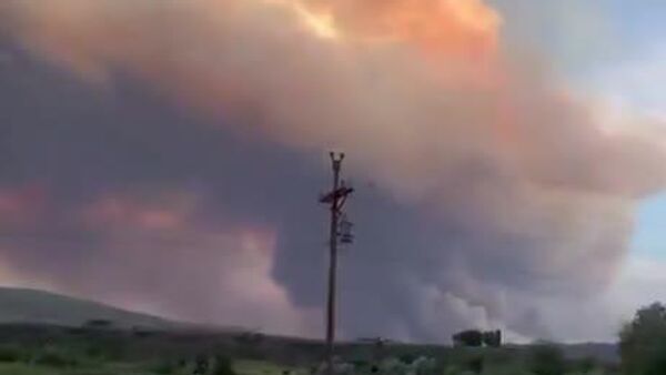 Сӯхтори ҷангал дар Колорадо метавонад бузургтарин дар таърихи ИМА гардад - аллакай беш аз 50 ҳазор гектар сӯхтааст - Sputnik Тоҷикистон