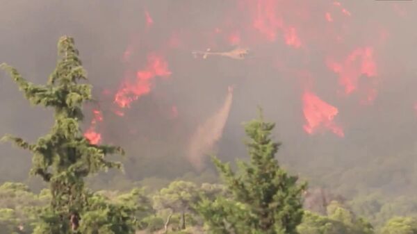 Лесной пожар в Испании уничтожил природно-культурный ландшафт Лас-Медулас, внесенный в перечень Всемирного наследия ЮНЕСКО, сообщает EFE - Sputnik Таджикистан