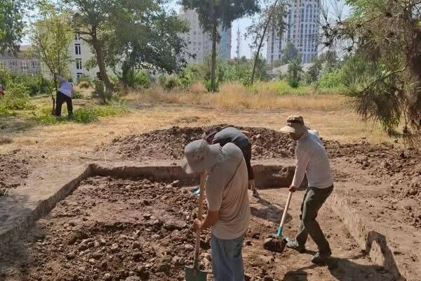 Раскопки в Бохтаре рядом с музеем Бибихонум - Sputnik Таджикистан