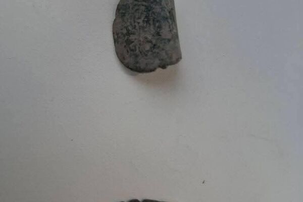 Раскопки в Бохтаре рядом с музеем Бибихонум - Sputnik Таджикистан