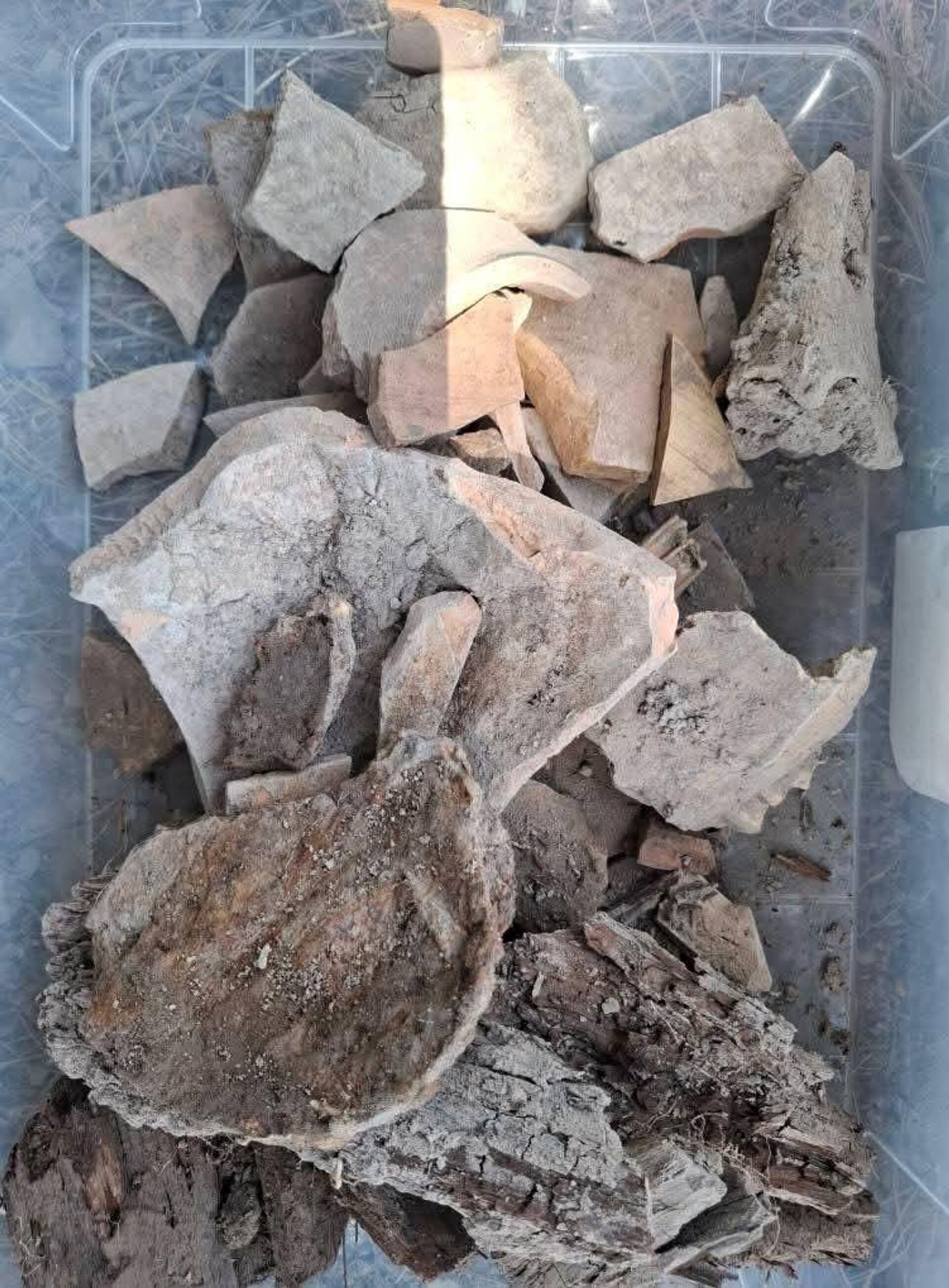 Раскопки в Бохтаре рядом с музеем Бибихонум - Sputnik Тоҷикистон, 1920, 13.08.2025