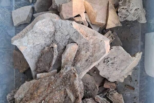 Раскопки в Бохтаре рядом с музеем Бибихонум - Sputnik Таджикистан