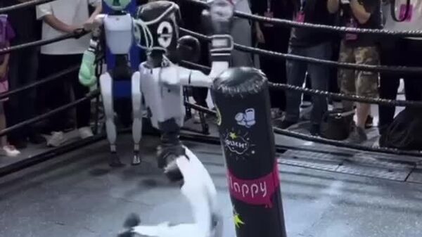 Восстание машин отменяется: на Всемирных играх роботов в Пекине победила груша для спарринга - Sputnik Таджикистан